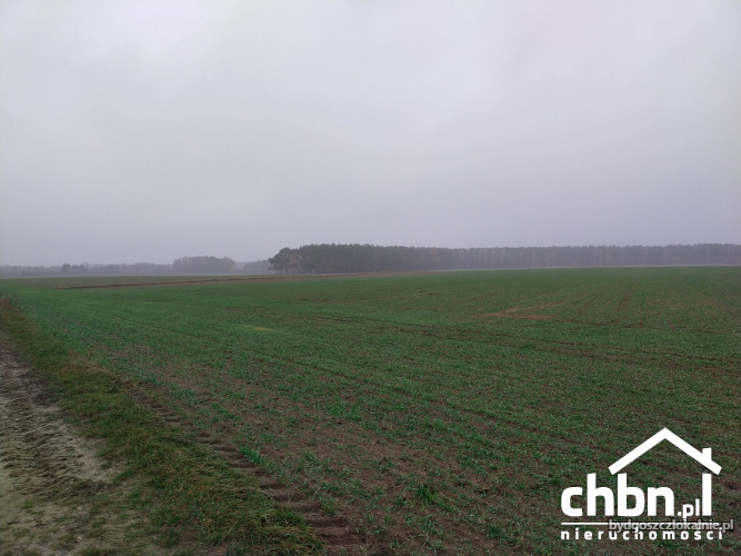ziemia-rolna-w-okolicach-chojnic-881-ha-60744-bydgoszcz-foto.jpg