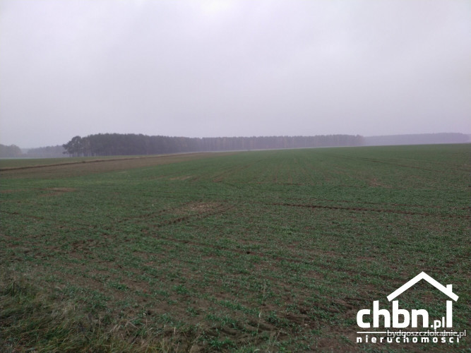 ziemia-rolna-w-okolicach-chojnic-881-ha-60744-bydgoszcz-na-sprzedaz.jpg