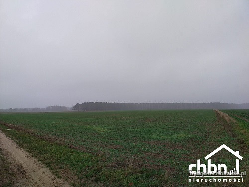 ziemia-rolna-w-okolicach-chojnic-881-ha-60744-bydgoszcz.jpg