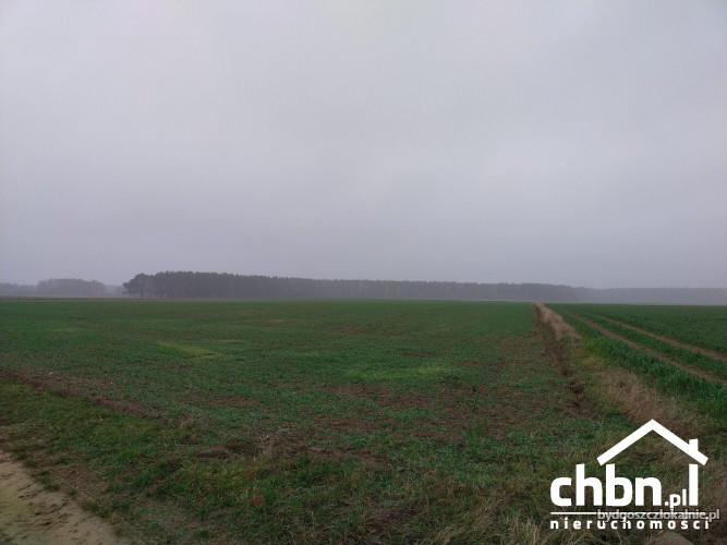 ziemia-rolna-w-okolicach-chojnic-881-ha-60744-sprzedam.jpg