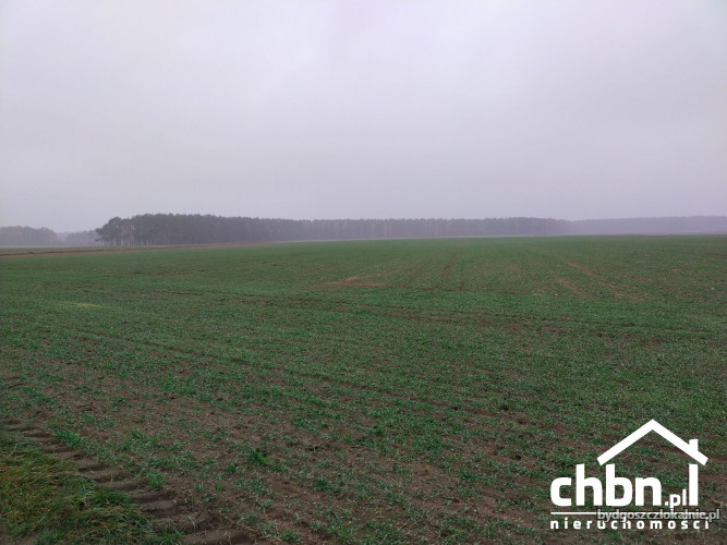ziemia-rolna-w-okolicach-chojnic-881-ha-60744-zdjecia.jpg