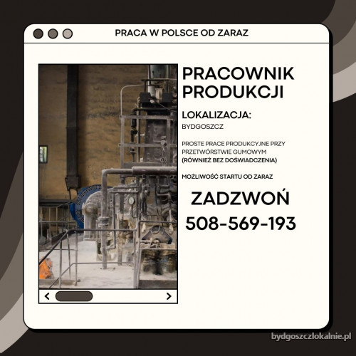 prace-produkcyjne-bez-doswiadczenia-60768.jpg
