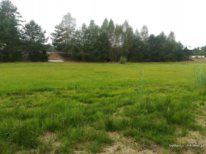 nieruchomosc-z-linia-brzegowa-rzeki-brdy-61255-sprzedam.jpg
