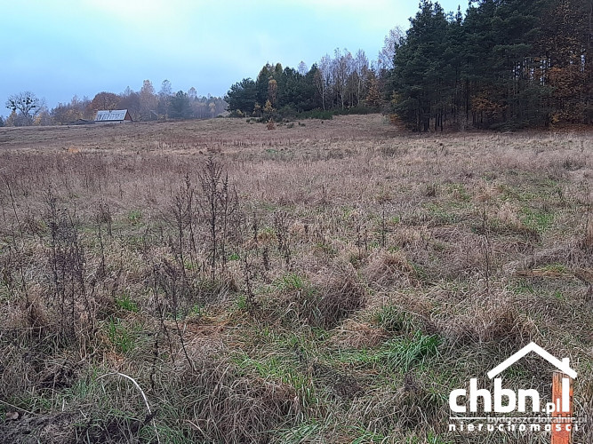 dzialka-graniczaca-z-lasem-w-spokojnej-okolicy-61349-bydgoszcz-do-sprzedania.jpg