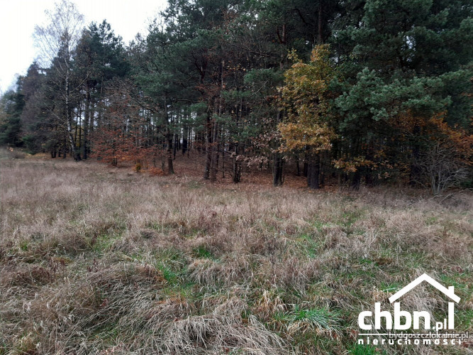 dzialka-graniczaca-z-lasem-w-spokojnej-okolicy-61349-bydgoszcz-na-sprzedaz.jpg