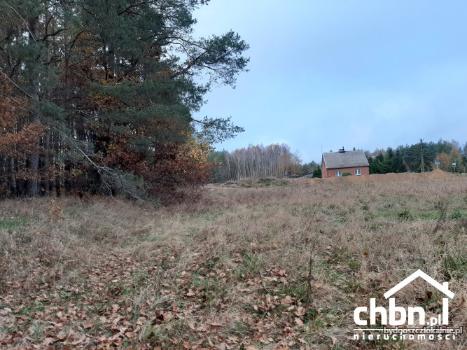 dzialka-graniczaca-z-lasem-w-spokojnej-okolicy-61349-dzialki-i-grunty.jpg