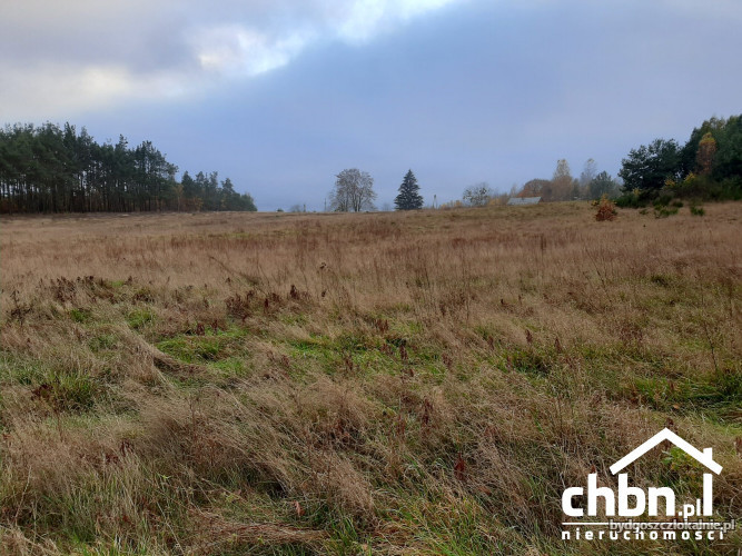 dzialka-graniczaca-z-lasem-w-spokojnej-okolicy-61349-zdjecia.jpg