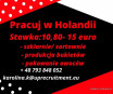 Praca w Holandii