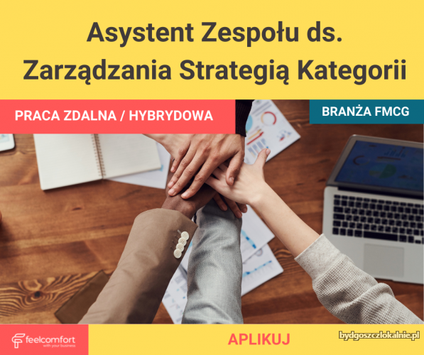 asystent-zespolu-ds-zarzadzania-strategia-kategorii-61758.jpg