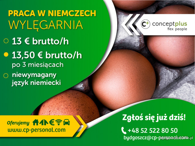 fb_bydgoszcz_wylęgarnia.jpg