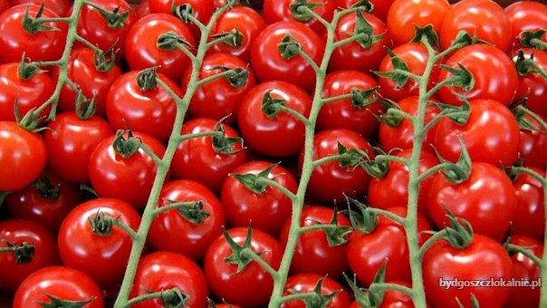 cherry-tomatoes-2340238__340.jpg