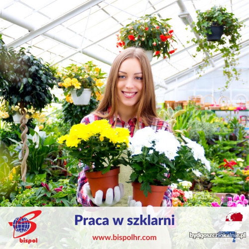 Praca_w_szklarniach(1).jpg