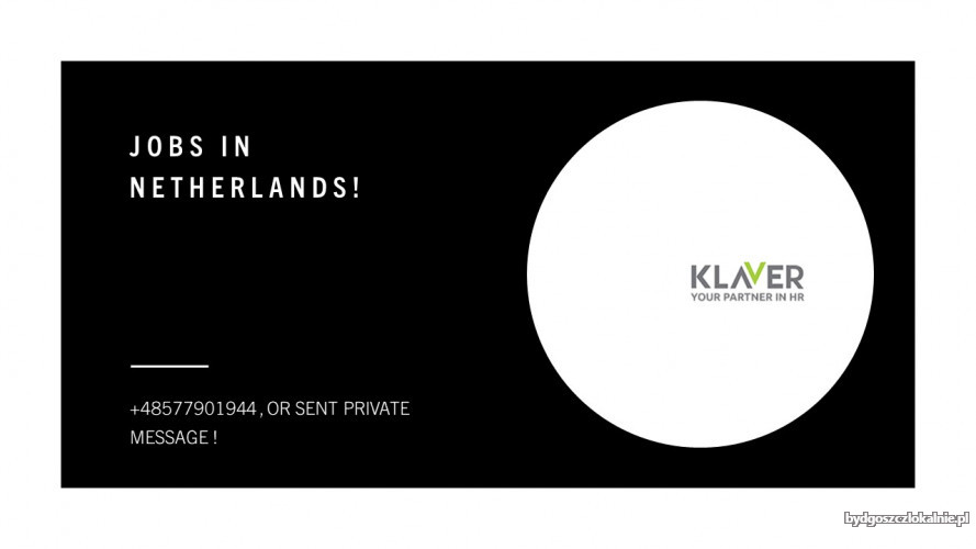 JOBS_IN_NETHERLANDS333.jpg