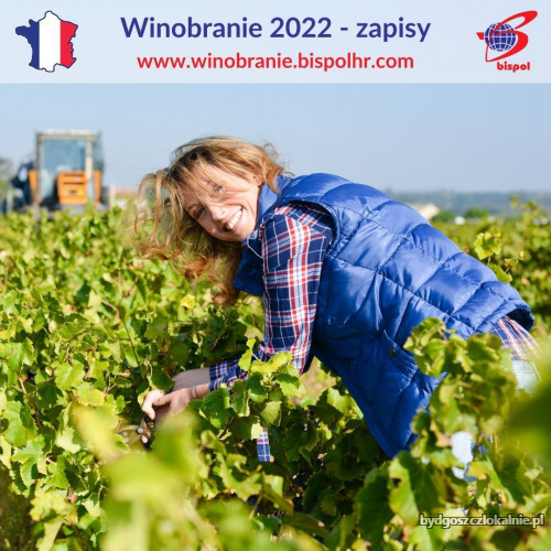 Winobranie_2022_-_zapisy.jpg
