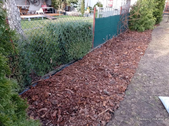 image_(1)1.jpg