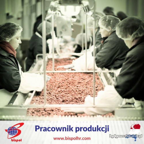 pracownik_produkcji_pl.jpg