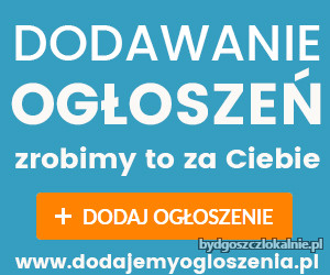 multi-dodawanie-ogloszen-internetowych-62927-bydgoszcz.jpg