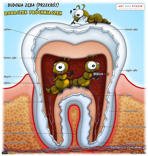 ilustracje-medyczne-anatomiczne-naukowe-ryciny-medyczne-64174-zdjecia.jpg