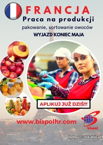 praca-na-produkcji-dla-pan-pakowanie-i-sortowanie-owocow-66014.jpg