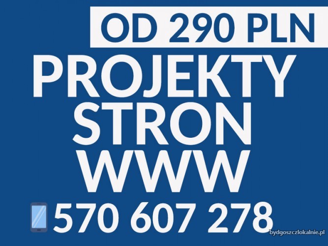 profesjonalne-projektowanie-stron-internetowych-juz-od-290-pln-66179.jpg