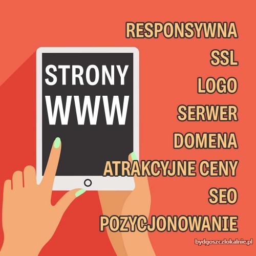 strony-internetowe-dla-firmy-strona-i-sklep-internetowy-seosem-66376.jpg