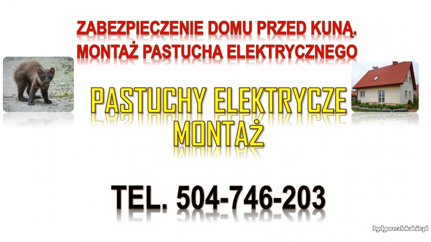 4_ochrona_przed_kuna_pastuch_elektryczny.jpg