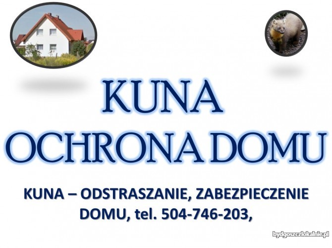 4_Elektryczny_pastuch_kuna.jpg