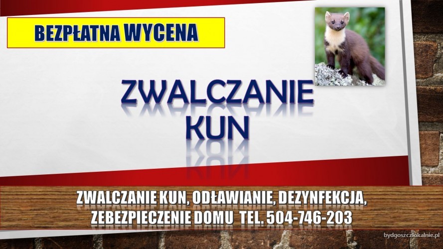 5_odstraszanie_kuny_cena.jpg