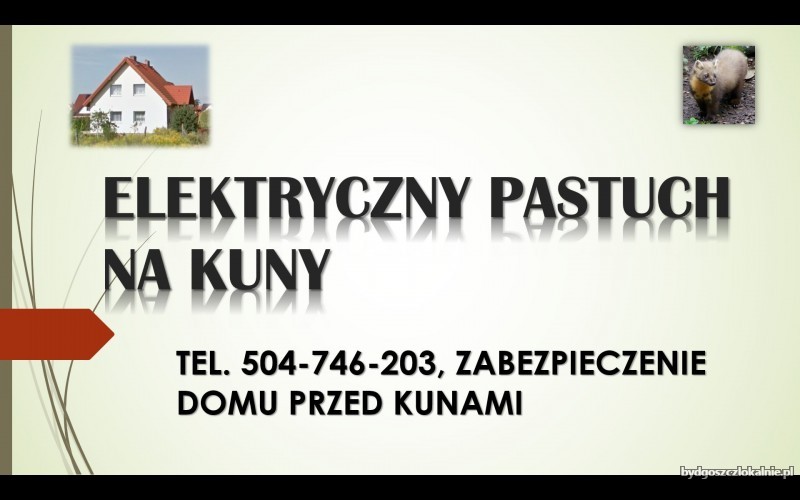2_elektryczny_pastuch_ogrodzenie_na_kuny.jpg