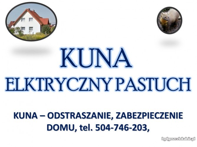 5_instalacja_elektryczna_pod_pradem_kuny.jpg