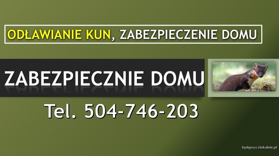 6_ochrona_domu_przed_kunami_cena.jpg