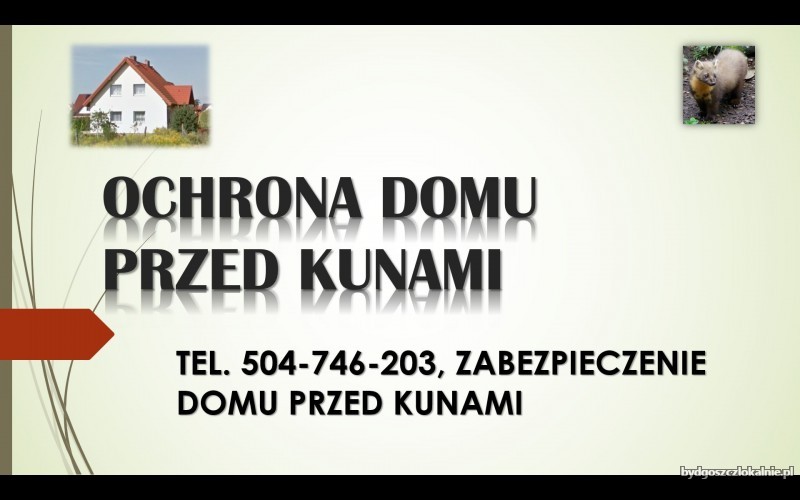 8_elektryczny_pastuch_na_kuny_ochrona_i_zabezpieczenie_strychu_dachu_przed_kunami.jpg