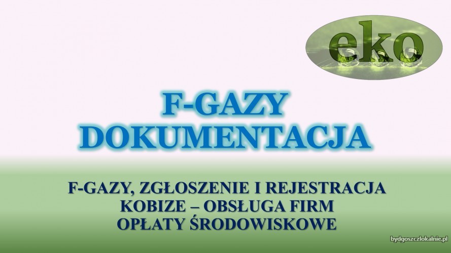 7_czynnik_chlodniczy_gazy_cro_i_bds_raport_sprawozdanie_cena.jpg