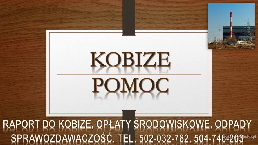 3_jaka_cena_za_raport_do_kobize.jpg