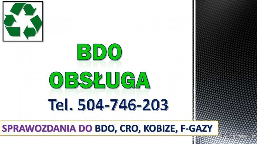 2_bdo_instrukcja_obslugi.jpg
