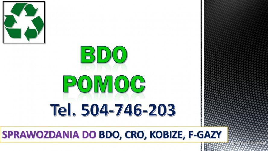 4_jak_wypelnic_bdo.jpg