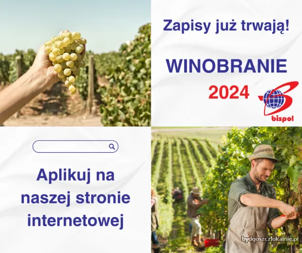 Winobranie_2024.webp