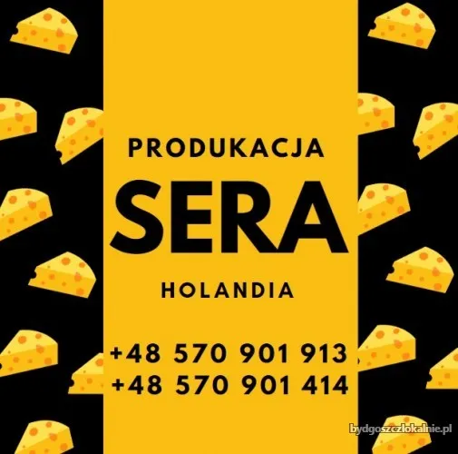 produkcja-sera-holandia-bez-prawa-jazdy-68395.webp