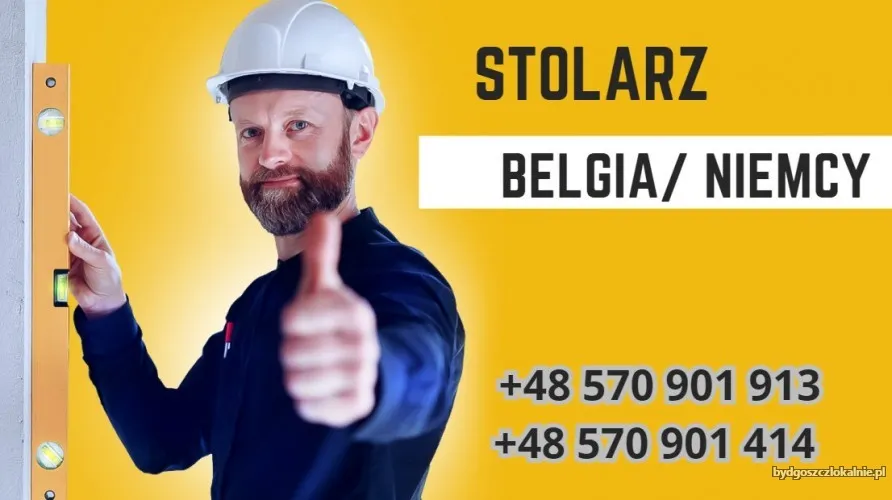 stolarz-meblowy-w-belgii-68408.webp
