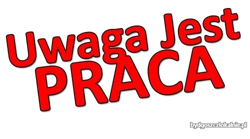 prace-magazynowe-holandia-rowniez-dla-par-wym-angielski-68443.webp