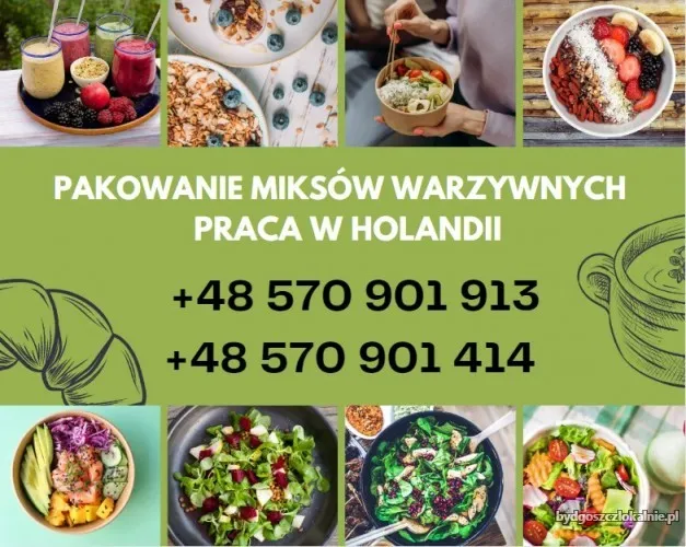 praca-za-granica-holandia-wysokie-zarobki-68668.webp