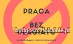 zawodowe-pisanie-prac-69012.webp