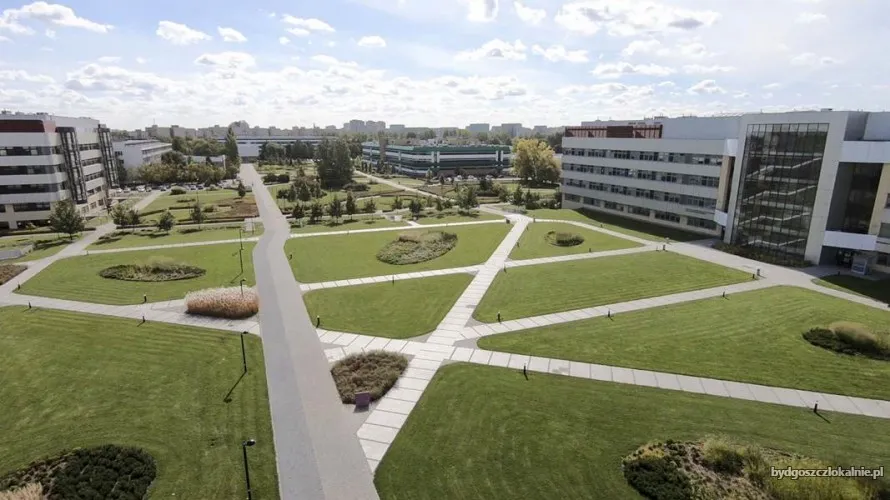 administracja-systemami-i-aplikacjami-studia-podyplomowe-69079.webp