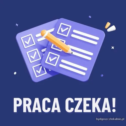 ankieter-praca-dodatkowa-69123.webp