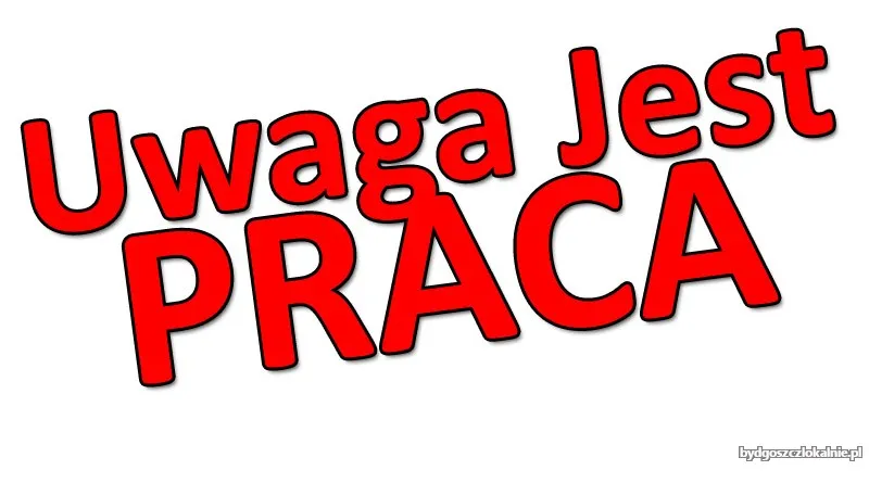 dekarz-plaskie-dachy-praca-w-belgii-70031.webp