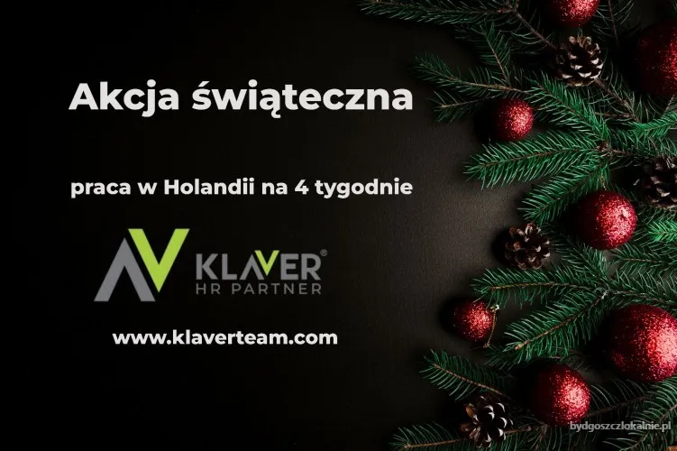 praca-krotkoterminowa-w-holandii-4-tygodnie-swieta-70507.webp