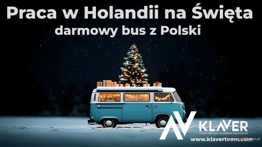 zarob-przed-swietami-krotki-wyjazd-do-holandii-70511.webp