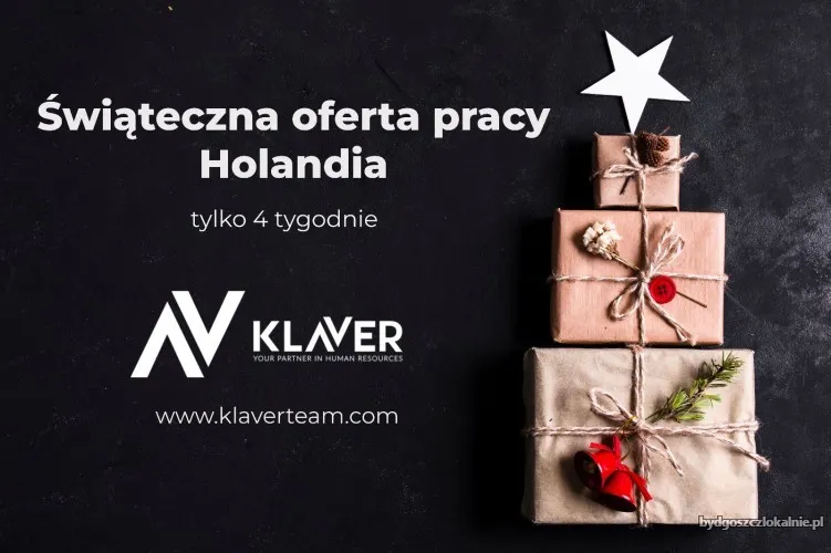 dodatkowa-praca-na-swieta-wyjazd-do-holandii-70512.webp