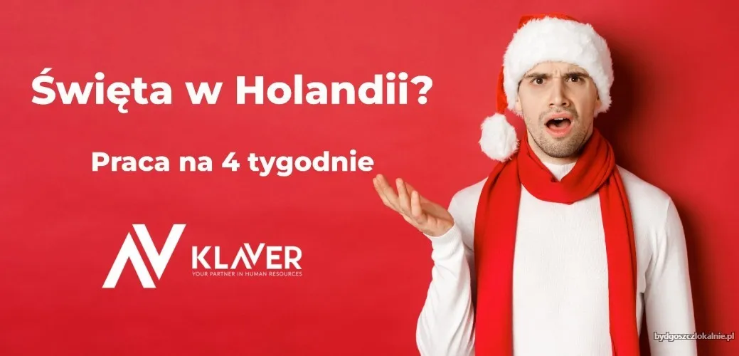 zarob-przed-swietami-krotki-wyjazd-do-holandii-70591.webp