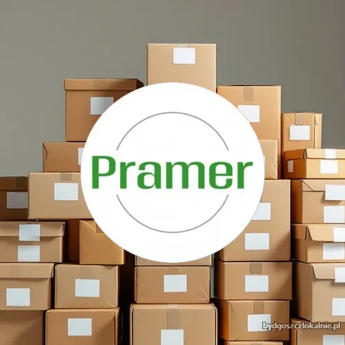 logo_pramer_2.webp